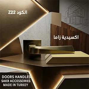 DOORS HANDLES Z22