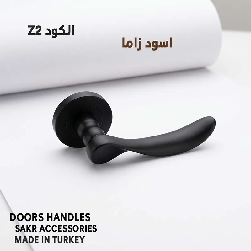 DOORS HANDLES Z2