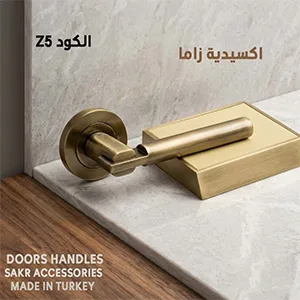 DOORS HANDLES Z5